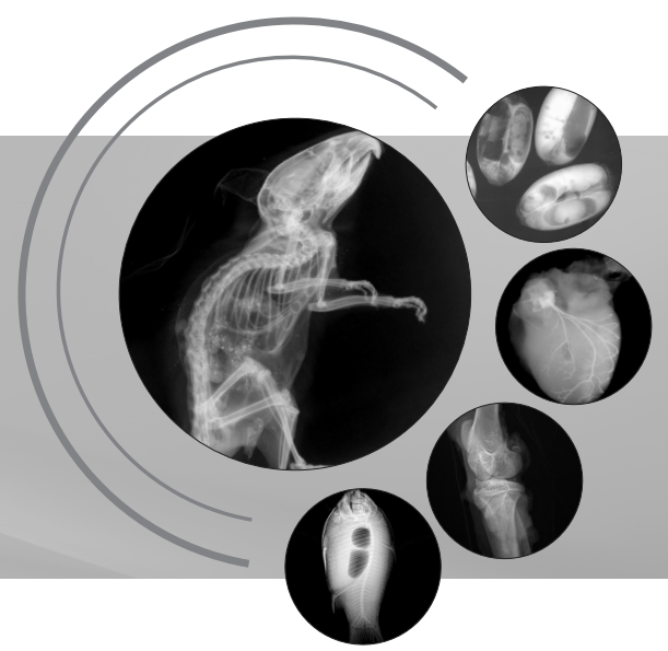 生命科學(xué)研究、小動(dòng)物、種子檢測(cè)