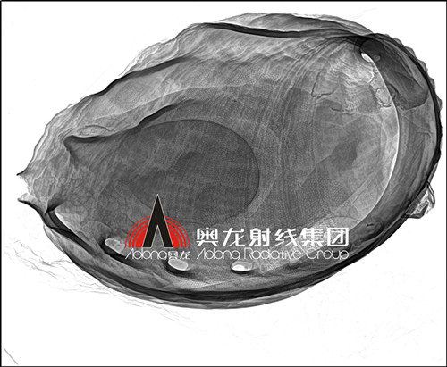 鮑魚.jpg 鮑魚.jpg