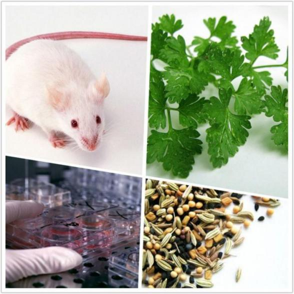 圖片2.png 圖片2.png